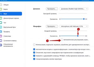 Почему меня плохо слышно в зуме на ноутбуке