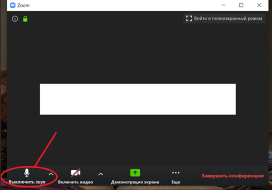 Как выключить звук в зуме на компьютере